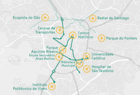 Município de Viseu identifica vias partilhadas entre automóveis e bicicletas com linha contínua verde