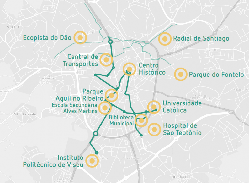 Município de Viseu identifica vias partilhadas entre automóveis e bicicletas com linha contínua verde