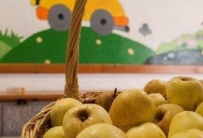 Treze escolas de Viseu concorrem à competição nacional “Hinos da Fruta”