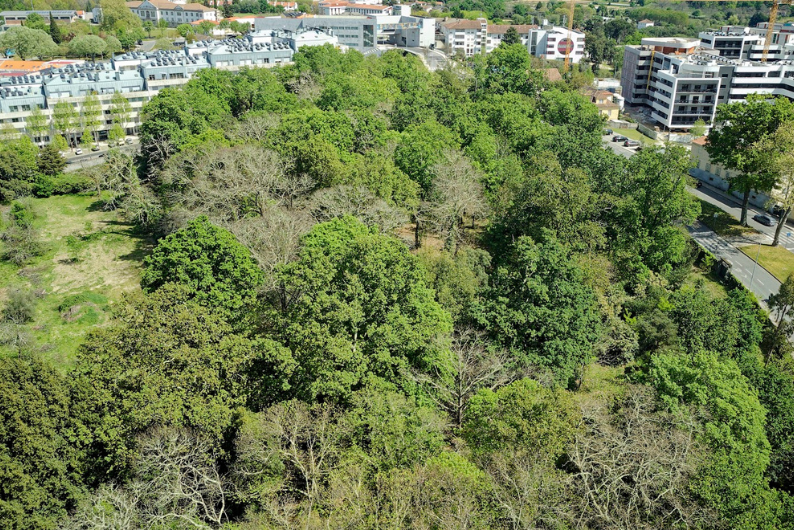 Quinta do Serrado abre a 1 de junho